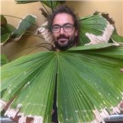 Francés para todos los niveles, Arte y arquitectura para todos los interesados